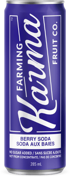 Farming Karma Berry Soda 4 Pack