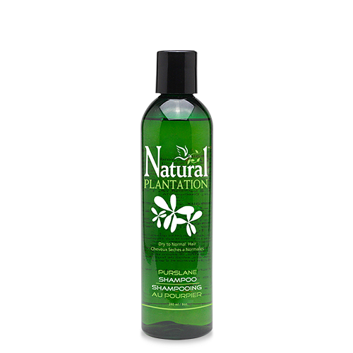 Natural Plantation Purslane Shampoo