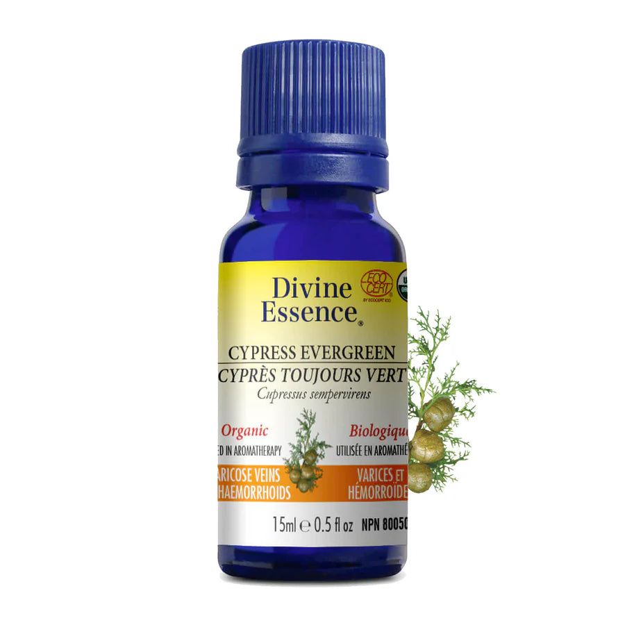 Divine Essence Cypress Essential Oil