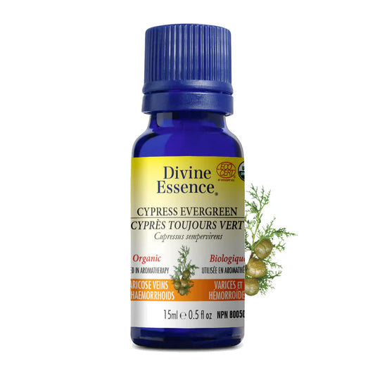 Divine Essence Cypress Essential Oil