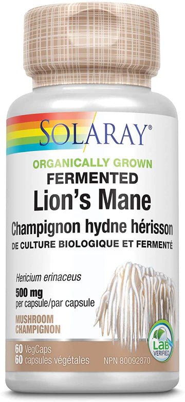 Soloray Lion's Mane - Fermented